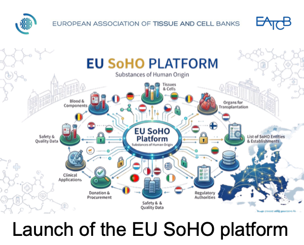 SoHo Platform